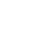 Premio Festival Internacional de Cine de MORELIA