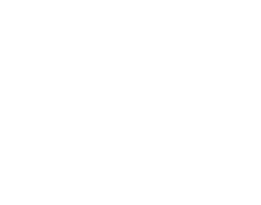 Voces imaginarias - cliente ford